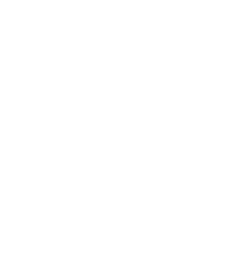 肴とお酒